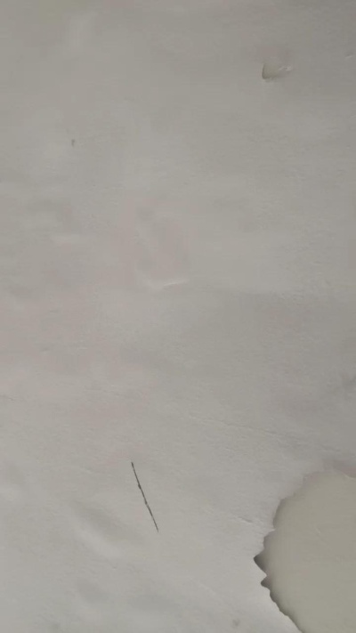 Anjo500 live from Brazil