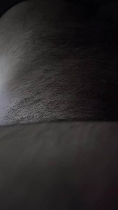 BearLovert live from Brazil