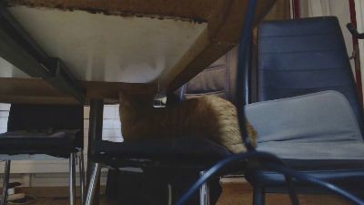 Heisser_SEX live from Switzerland