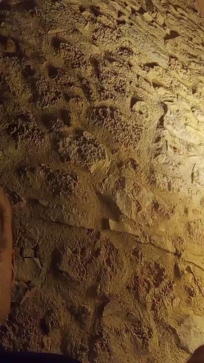 Mdelborrello8 live from France