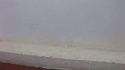 abydirty live from United States