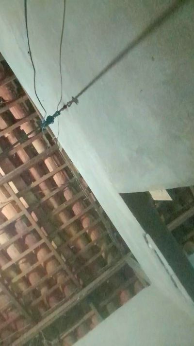 capetinha1821 live from Brazil